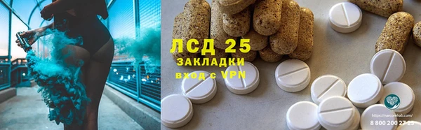 индика Алексин