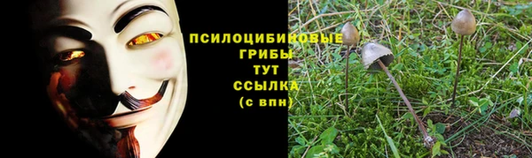PSILOCYBIN Алзамай