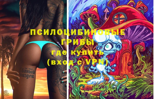 дживик Нефтекумск