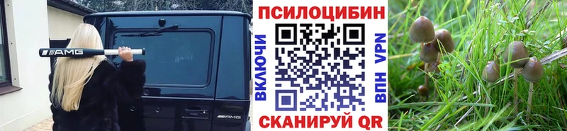 сайты даркнета телеграм  Новосибирск  Галлюциногенные грибы Magic Shrooms 