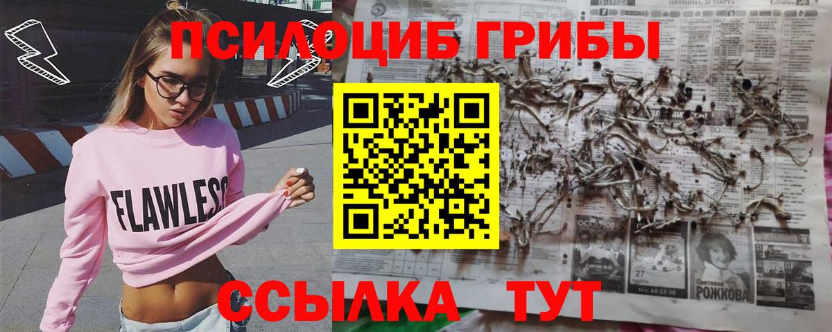 как найти закладки  Вход с VPN  Новосибирск  Псилоцибиновые грибы MAGIC MUSHROOMS 