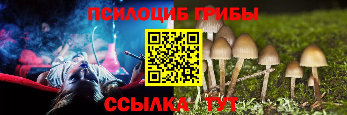 Галлюциногенные грибы MAGIC MUSHROOMS Новосибирск