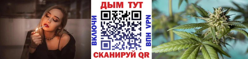 Каннабис сатива  цены   Новосибирск 
